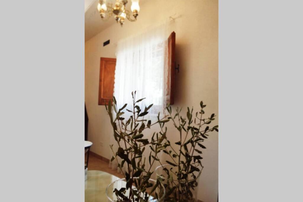 Trulli Monteforte Villa Castelli Εξωτερικό φωτογραφία