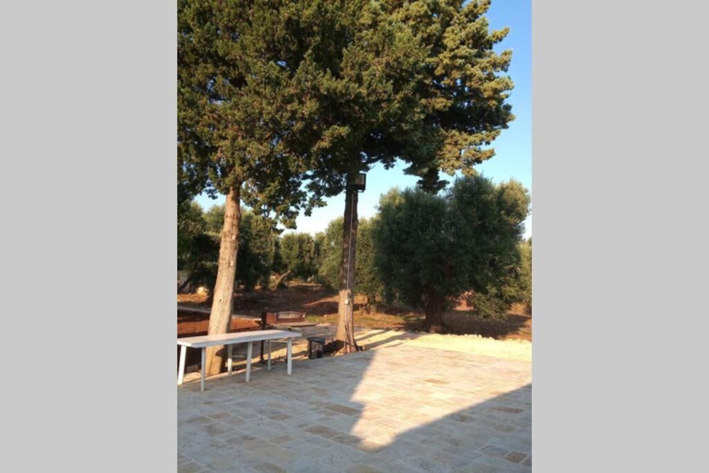 Trulli Monteforte Villa Castelli Εξωτερικό φωτογραφία