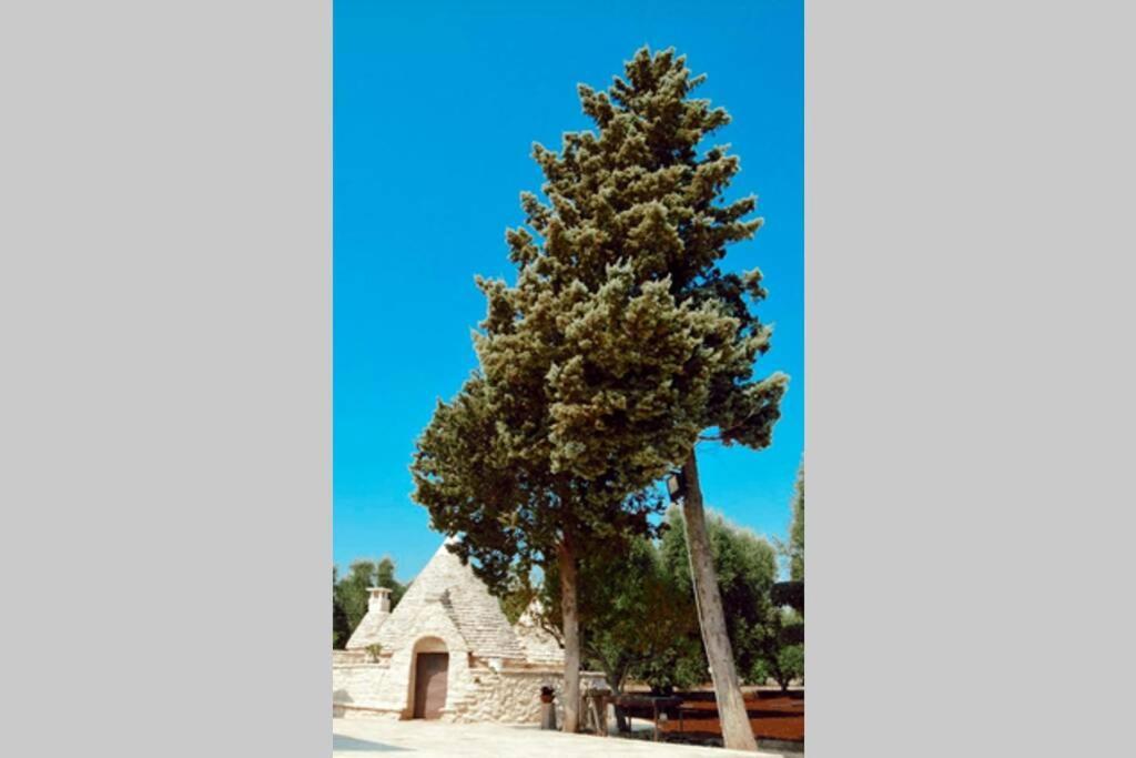Trulli Monteforte Villa Castelli Εξωτερικό φωτογραφία