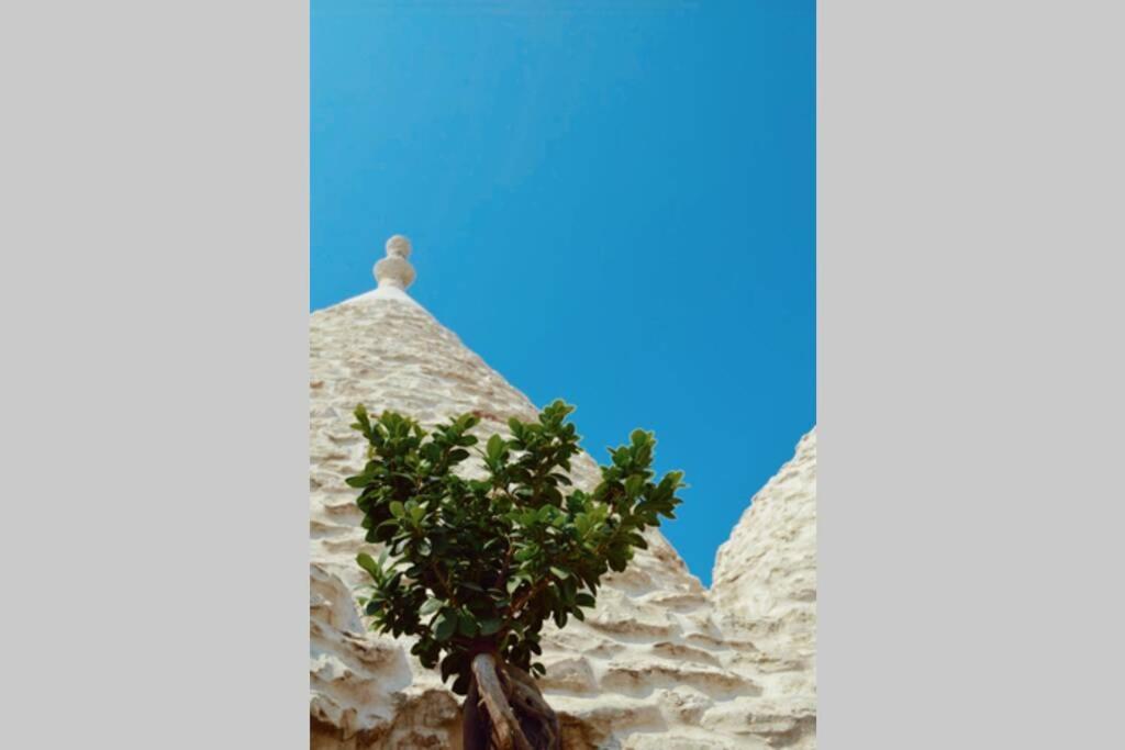 Trulli Monteforte Villa Castelli Εξωτερικό φωτογραφία